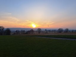 fliegen0903 11